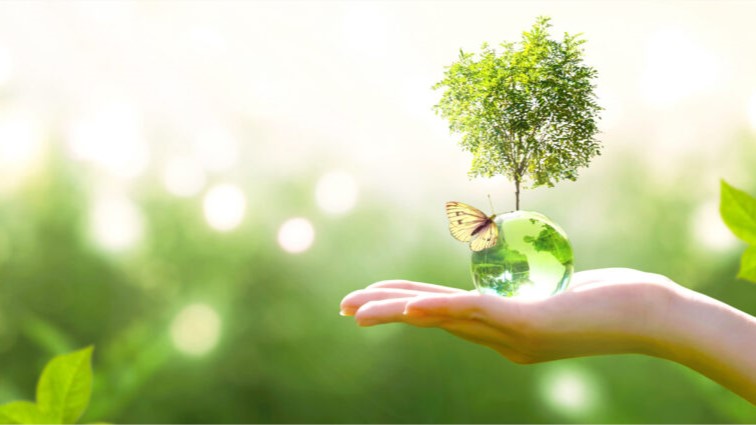 Dịch vụ môi trường tại Việt Nam hiện nay